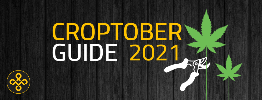 croptober guide_1100x420