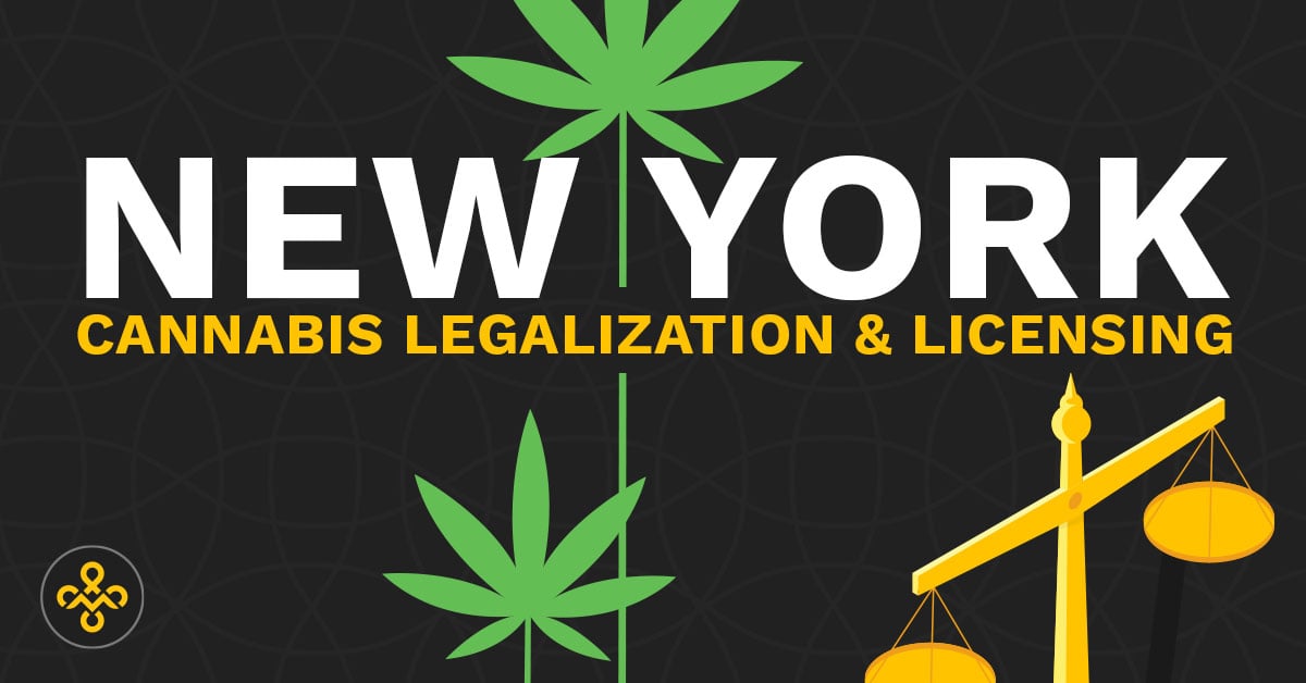 mjf-legalization-NY-1200x628-2
