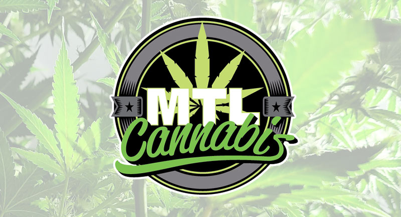 MJ Freeway Review - Montréal Cannabis Médical Case Study
